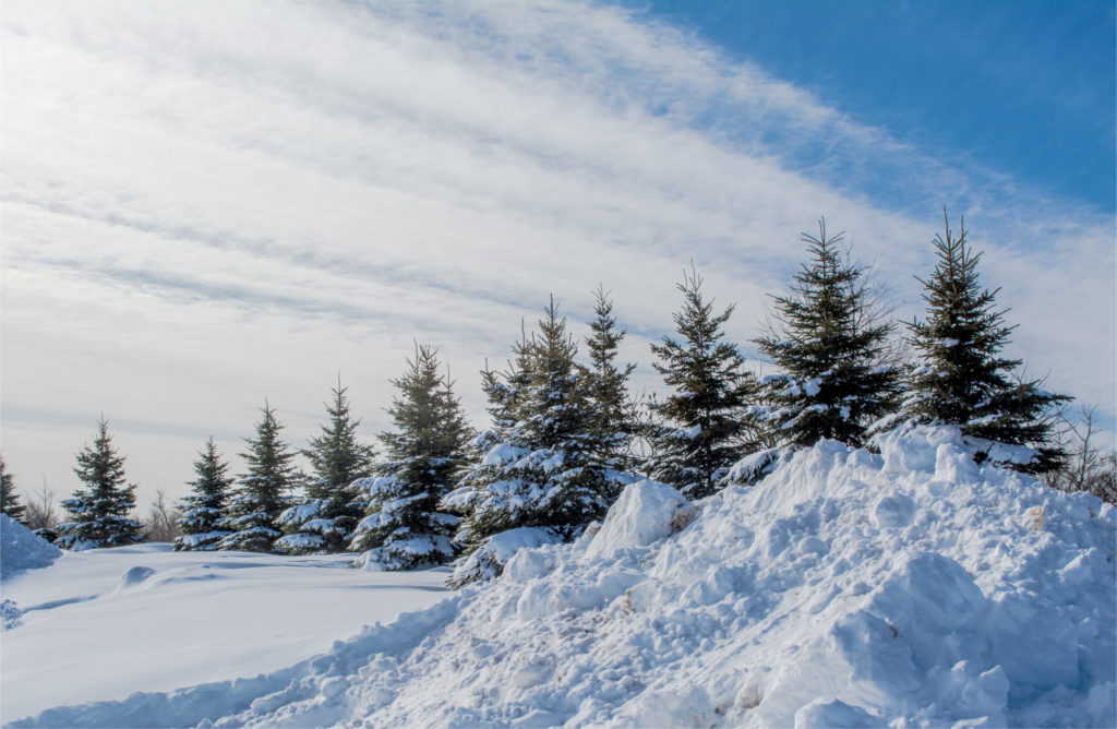 Winter in Shediac, showcasing the beauty of New Brunswick snow.