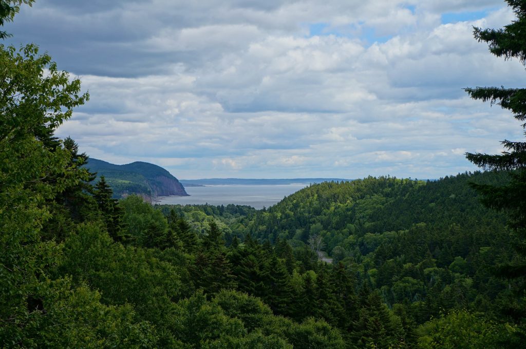 Lush landscape of Fundy National Park in New Brunswick