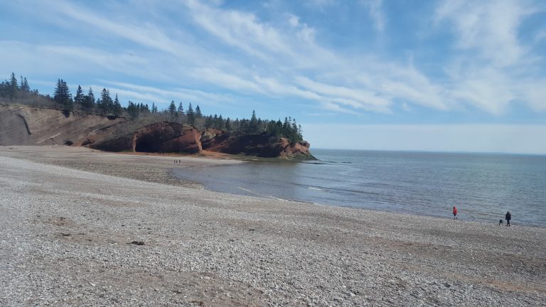 Stunning view of Fundy National Park at low tide, revealing the expansive ocean floor and dramatic tidal range unique to New Brunswick.