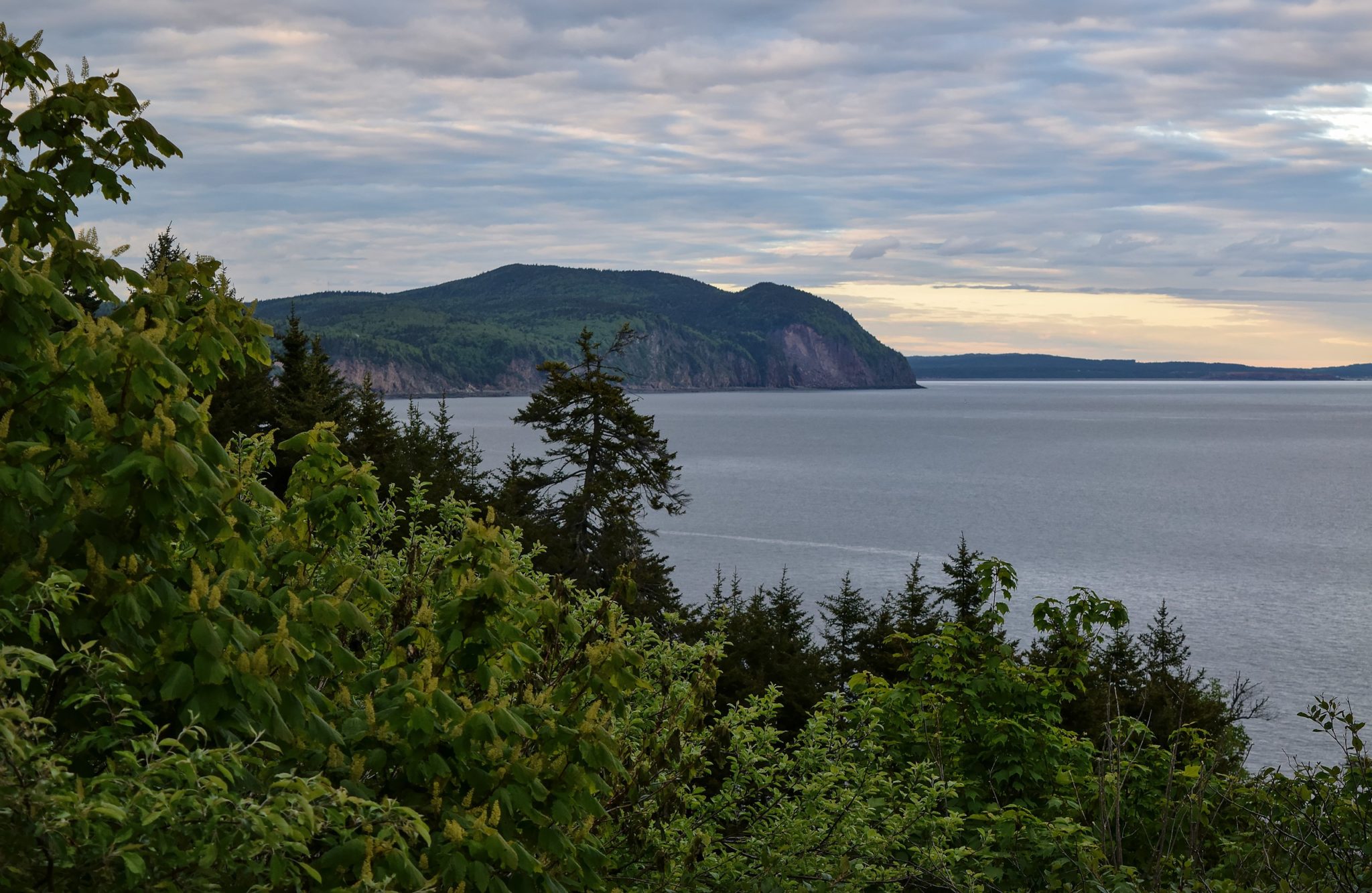 The Bay Of Fundy: The Crown Jewel Of New Brunswick Tourism | New ...