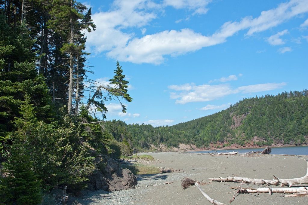 View of the beach at Point Wolfe