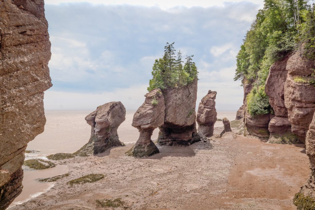 Experience Tourism New Brunswick - Unique rock formations at Hopewell Rocks